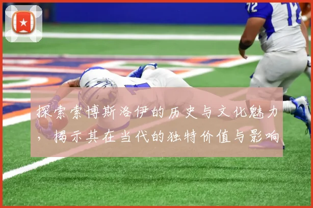 探索索博斯洛伊的历史与文化魅力，揭示其在当代的独特价值与影响力