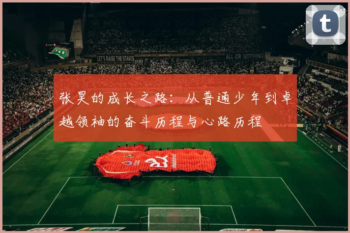 张昊的成长之路：从普通少年到卓越领袖的奋斗历程与心路历程
