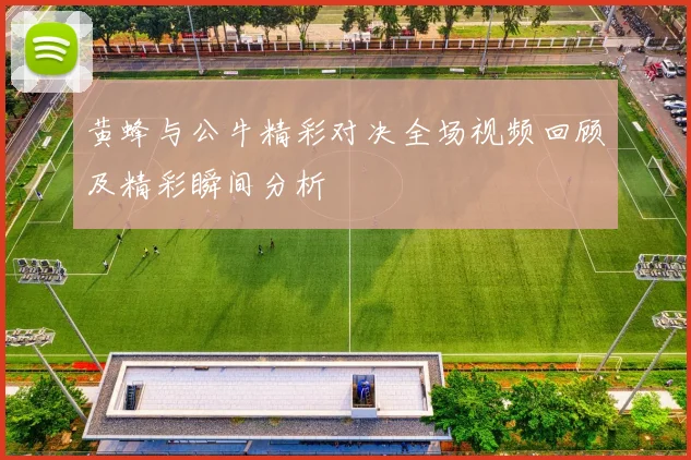 黄蜂与公牛精彩对决全场视频回顾及精彩瞬间分析