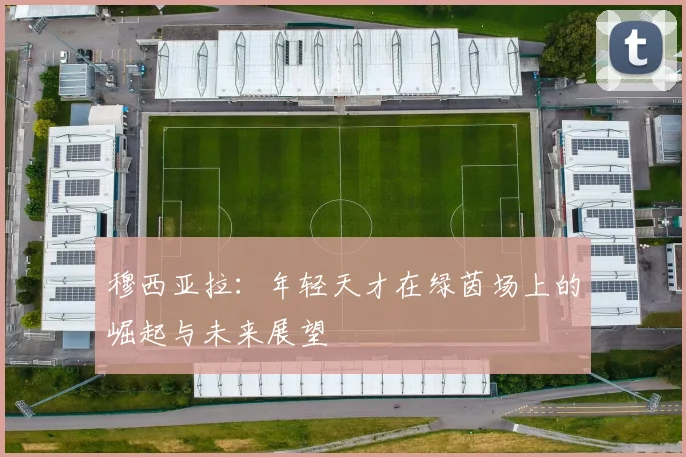 穆西亚拉：年轻天才在绿茵场上的崛起与未来展望