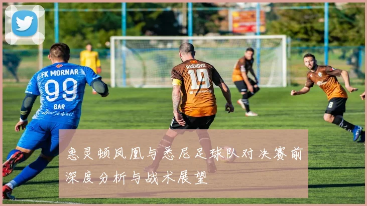 惠灵顿凤凰与悉尼足球队对决赛前深度分析与战术展望