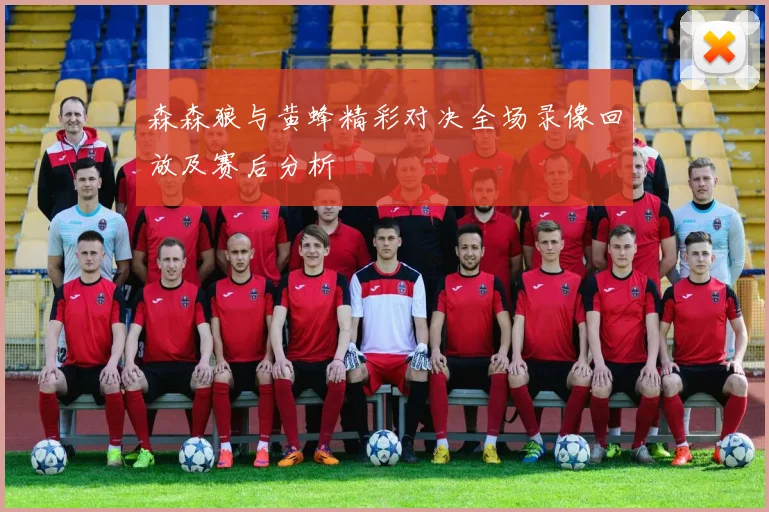 森森狼与黄蜂精彩对决全场录像回放及赛后分析